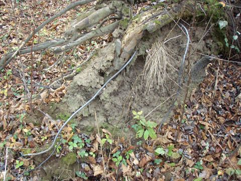 Foto 38